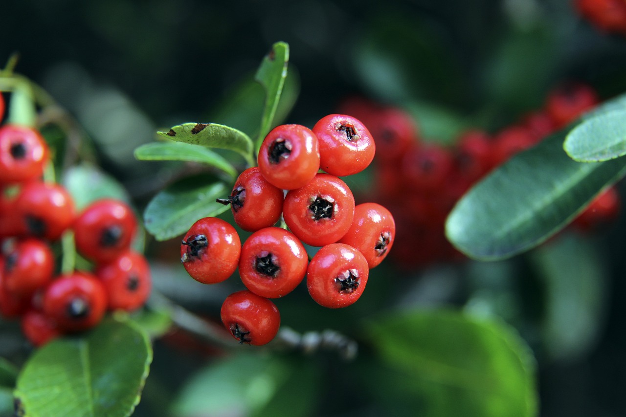 更是推动羽 更是推动羽