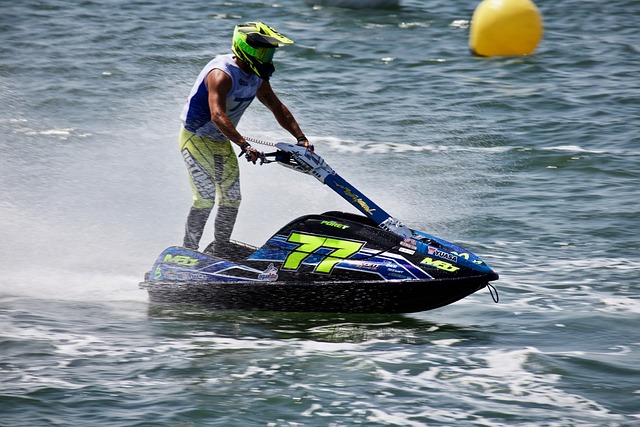 给归化运动 给归化运动