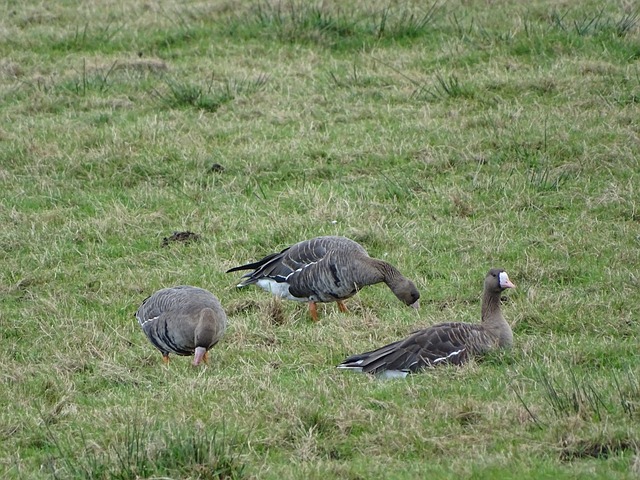 写属于自己 写属于自己